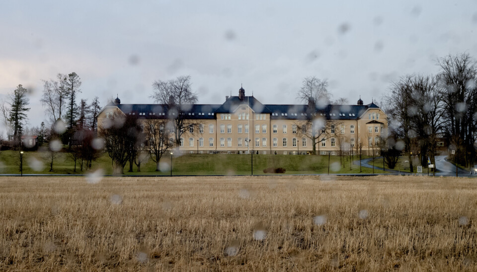 Lang historie: Siden slutten av 1800-tallet har Levangerskolen hatt nær samhandling med det i dag er Nord universitet, skriver åtte rektorer. — Dette har vært et vinn-vinn-samarbeid som har kommet både elever og studenter til gode.