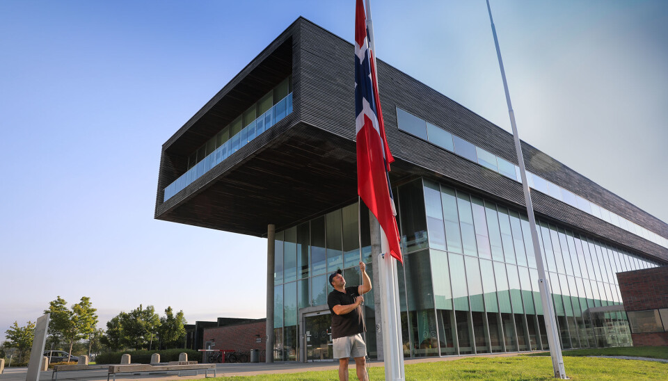 Høgskolen i Østfold