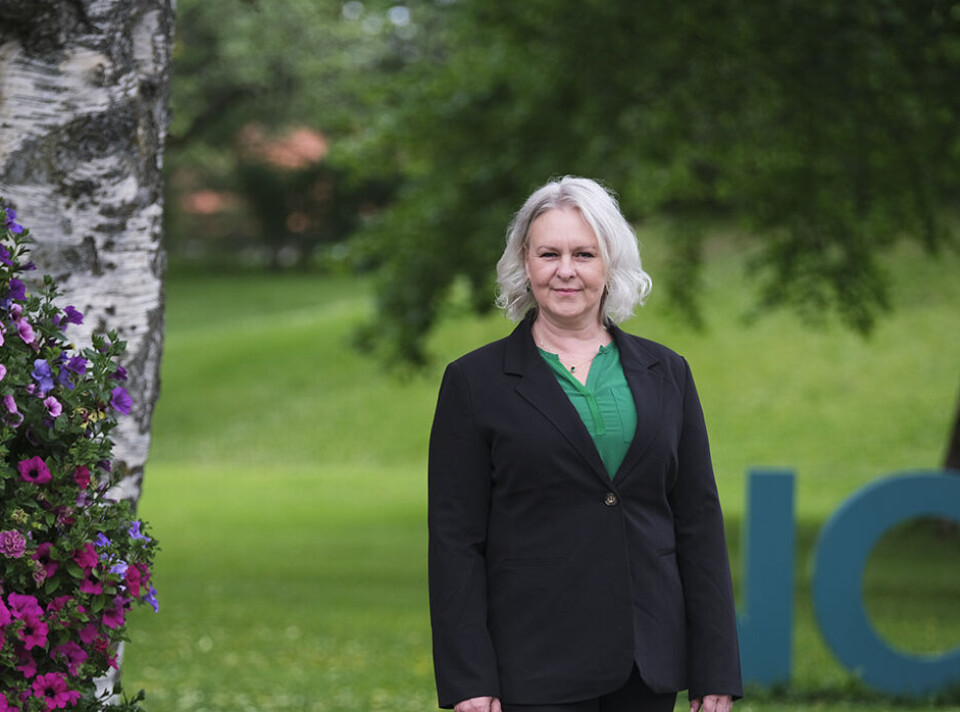 Nina Kjeøy er fungerande kommunikasjonssjef ved Nord universitet. Ho seier dei er i gang med å følgje opp arbeidsmiljøundersøkinga.